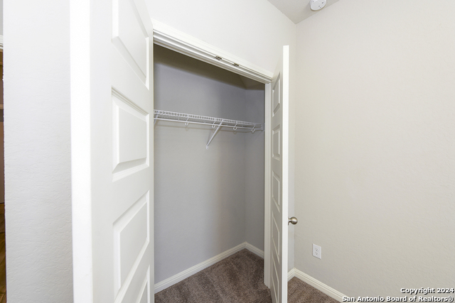 12925 Lilly Pass Property Photo 23
