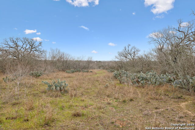 3105 Fm 2538 Property Photo 15