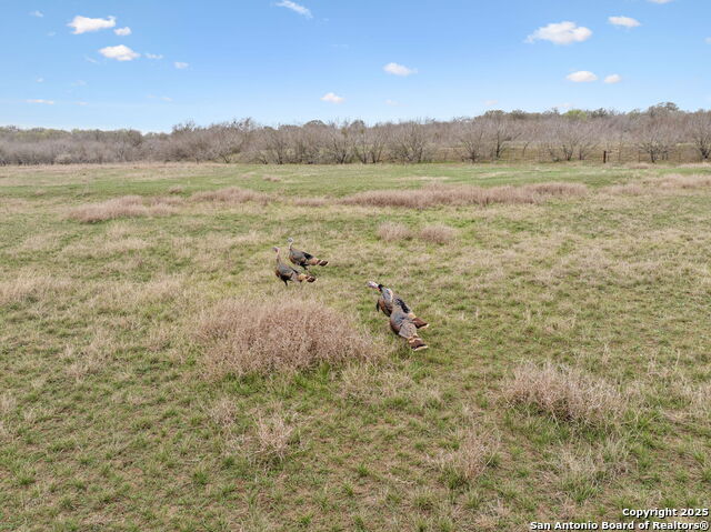 3105 Fm 2538 Property Photo 18