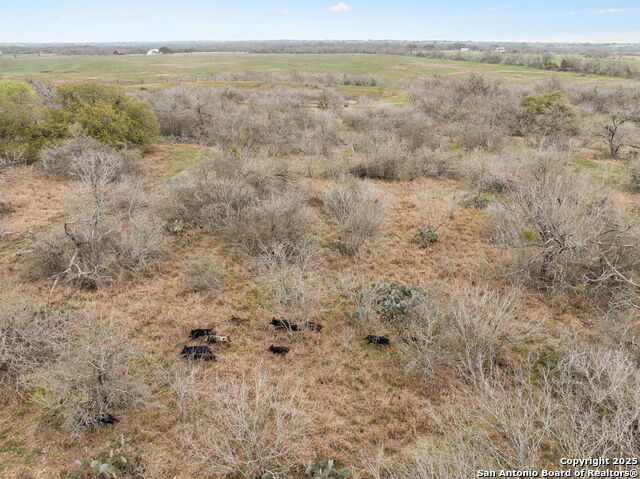 3105 Fm 2538 Property Photo 19