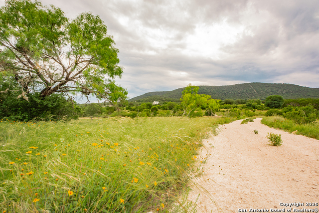 1848521 Property Photo 24
