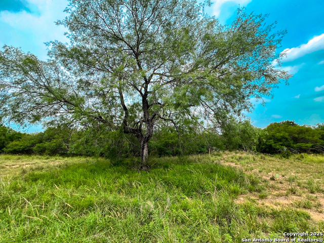 0000 Count Road 5232 Property Photo 15