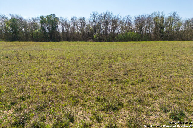 52.118 Acres State Highway 123 Property Photo 28