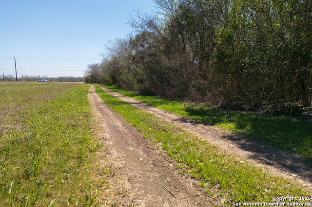 52.118 Acres State Highway 123 Property Photo 30