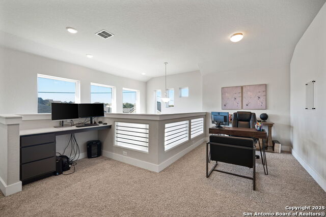 21114 Chestnut Cove Property Photo 16