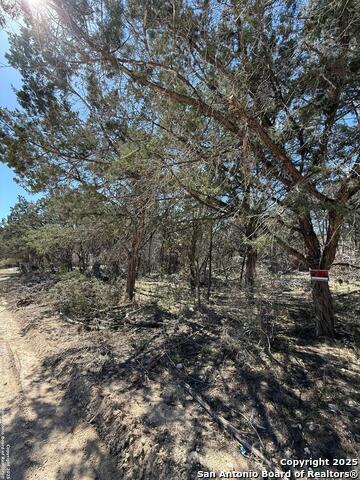 Tbd Paladin Property Photo 2