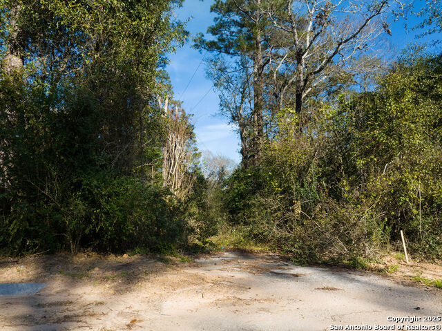 15879 Fm 1485 Property Photo