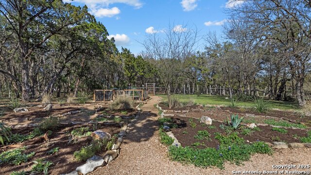 10115 Steinig Link Property Photo 29