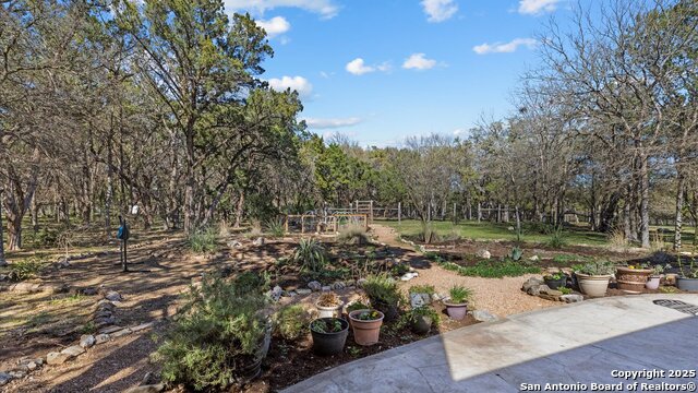 10115 Steinig Link Property Photo 30