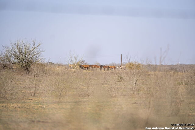 0 W Payne Property Photo 8