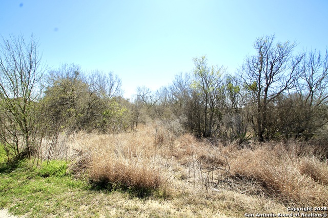 13210 Roundup Pass Property Photo 4