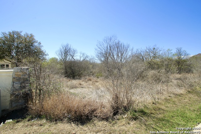 13210 Roundup Pass Property Photo 5