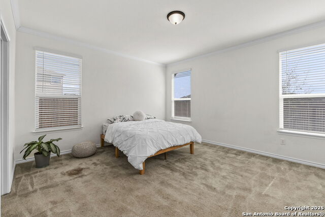 8212 Mulaney Property Photo 17