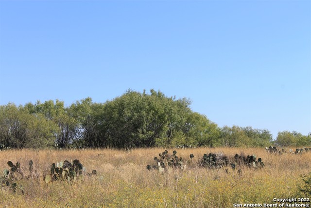 10240 State Hwy 173 Property Photo