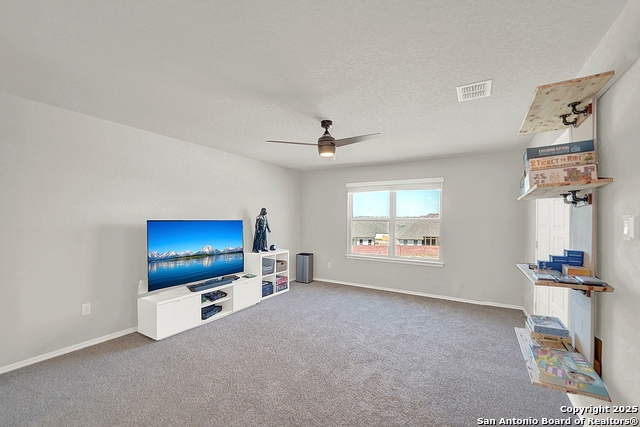 534 Candor Stone Property Photo 29