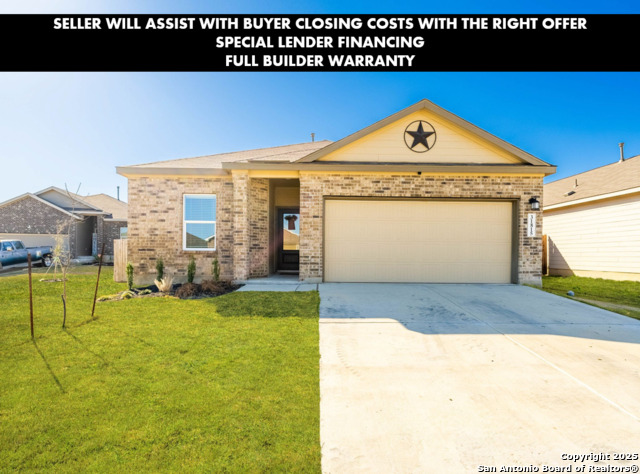 31815 Christmas Rose Property Photo 1