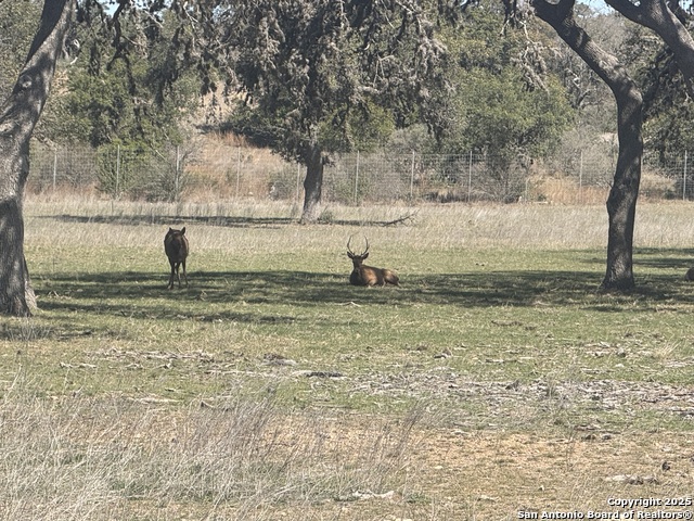 Lot 25 Ringtail Court Property Photo