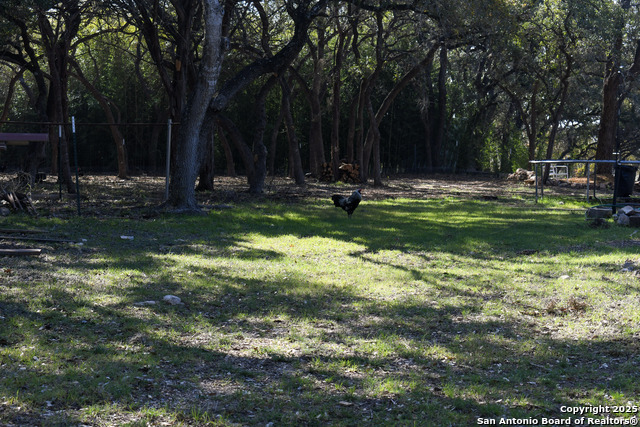 805 Bulverde Rd Property Photo 6