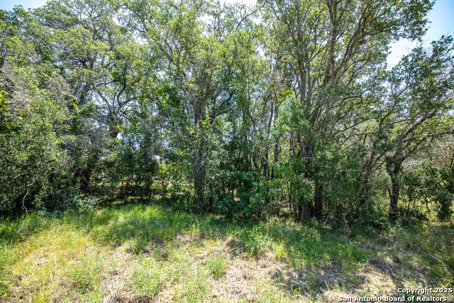 149 Steel Creek Crest Property Photo