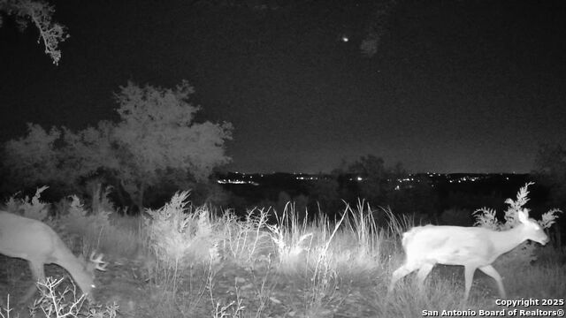 1000 Earle Oak Property Photo 11