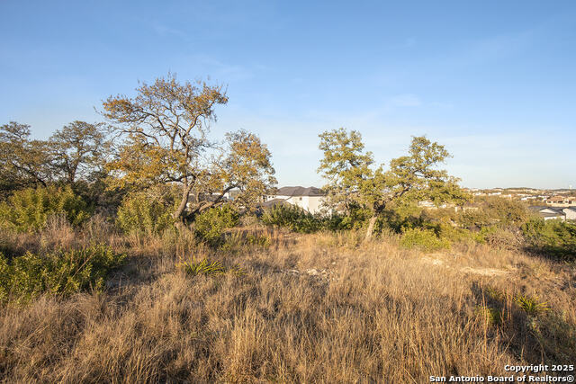 23304 Pepper Cyn Property Photo 2