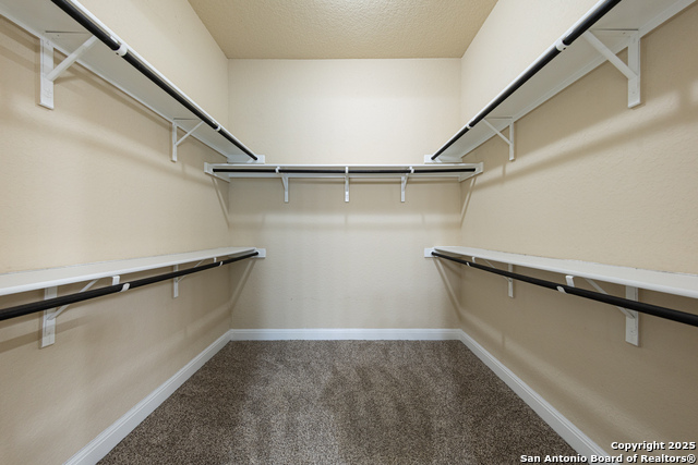 26815 Tulip Mdw Property Photo 22