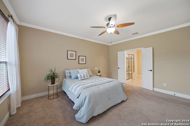3927 Deep River Property Photo 17