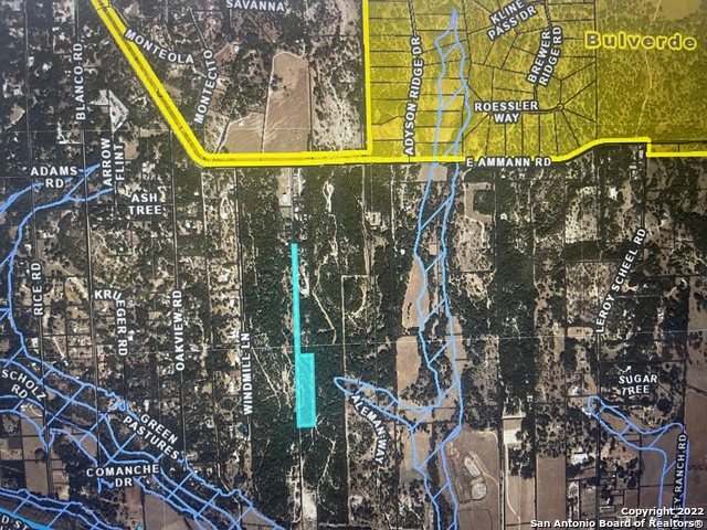 0 E Ammann Rd Property Photo 1