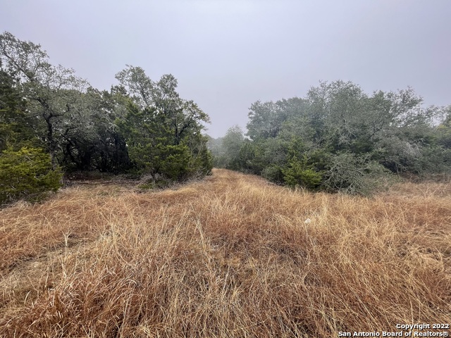 0 E Ammann Rd Property Photo 20