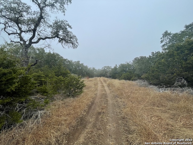 0 E Ammann Rd Property Photo 28
