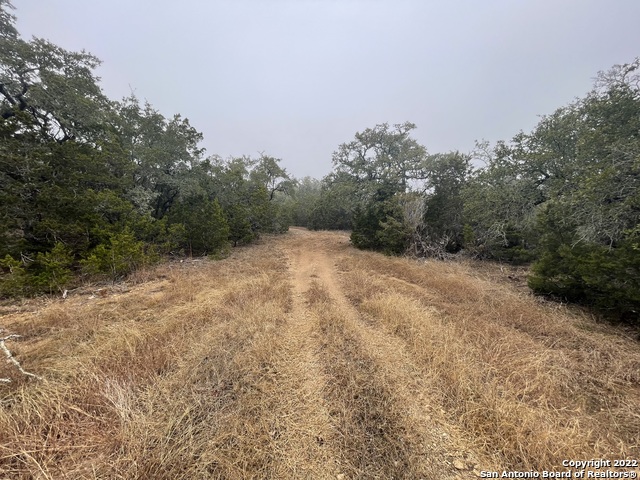 0 E Ammann Rd Property Photo 30