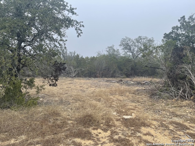 0 E Ammann Rd Property Photo 33