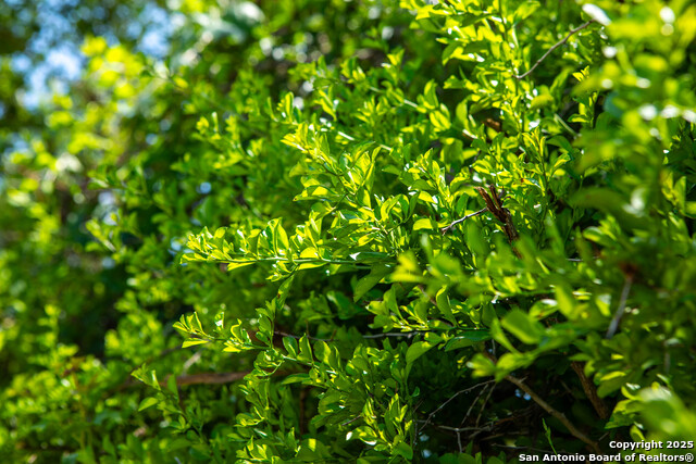 000 Cr 405 Property Photo 6
