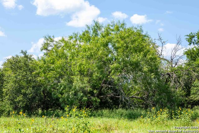 000 Cr 405 Property Photo 15
