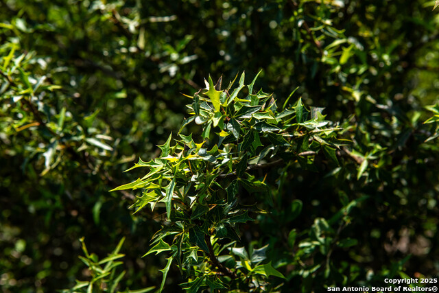 000 Cr 405 Property Photo 16