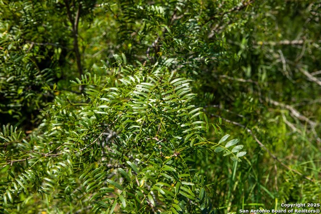 000 Cr 405 Property Photo 18