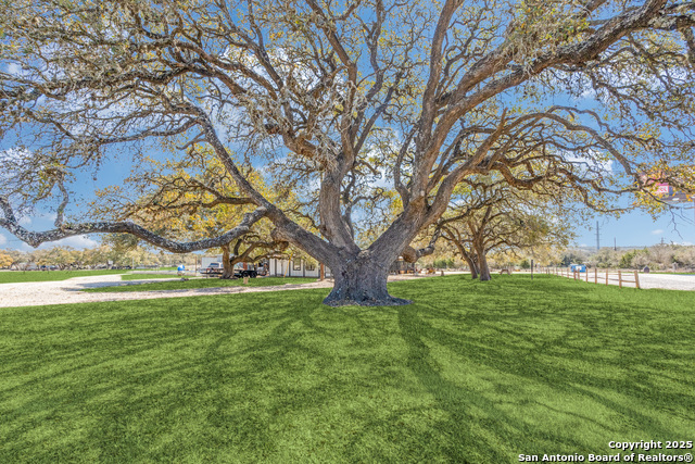 2682 Us-281 Property Photo 25