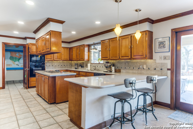 26045 Cypress Oaks Property Photo 8