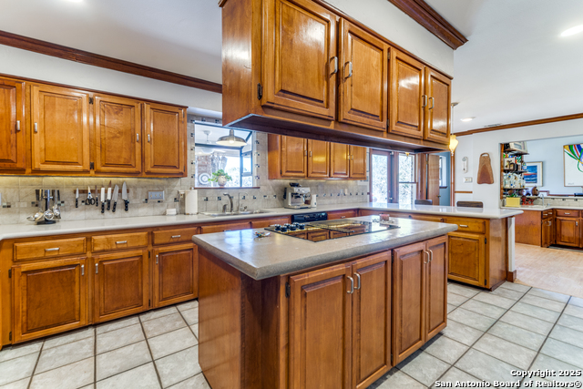 26045 Cypress Oaks Property Photo 9