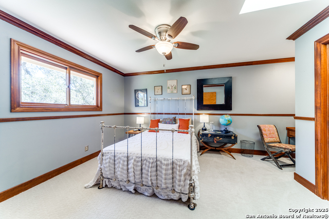26045 Cypress Oaks Property Photo 18