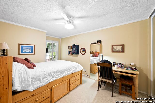 5007 Arbor Ridge Dr Property Photo 20