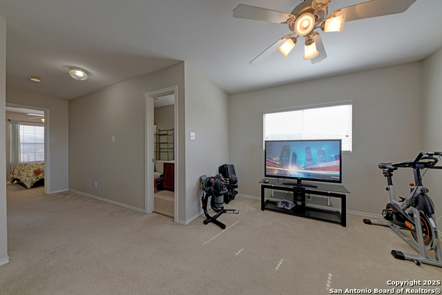 25719 Gold Yarrow Property Photo 14