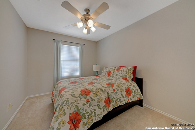25719 Gold Yarrow Property Photo 18