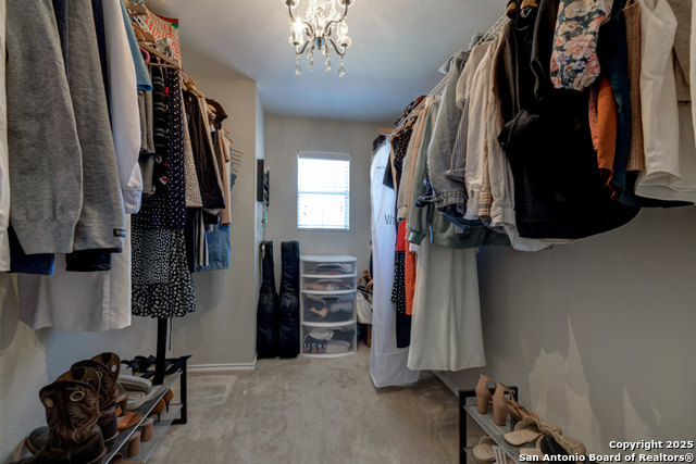25719 Gold Yarrow Property Photo 19