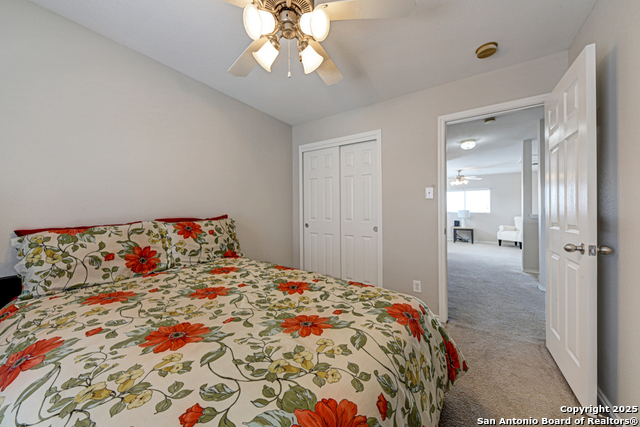 25719 Gold Yarrow Property Photo 20