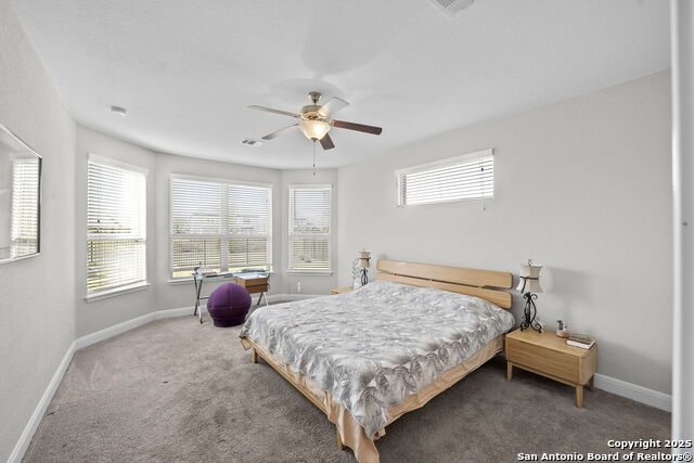 8010 Cibolo View Property Photo 18