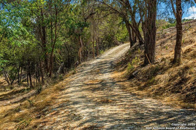 105a Oleander Property Photo 12