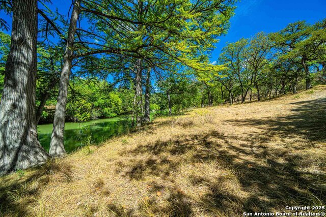 105a Oleander Property Photo 14