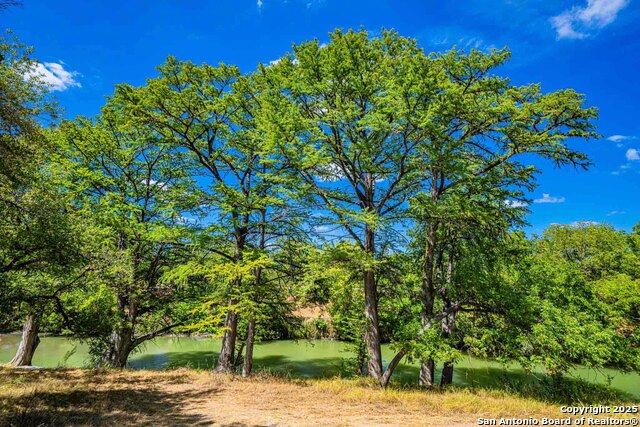 105a Oleander Property Photo 15