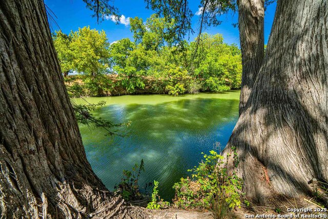 105a Oleander Property Photo 16